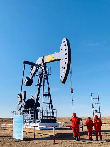 Ерөнхий сайд “Петро Чайна Дачин Тамсаг”-ийн үйл ажиллагаатай танилцав